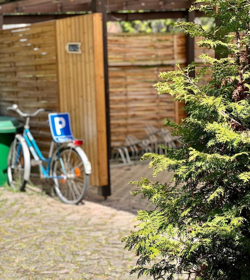 Traditionsgasthaus Goldener Loewe Riesa Restaurant & Pension Exterior foto
